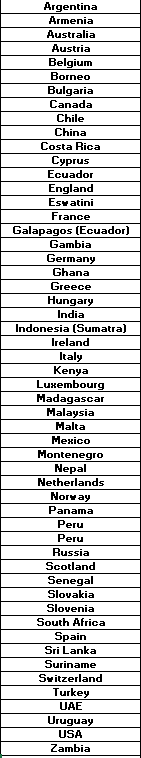 Britnatureguide's tweet photo. As promised here are the final results of this weekend's #worldcoleopteraweekend Hashtag Challenge. Photos of 344 species of beetles posted from 54 different countries. I have been amazed by the variety even though we have seen less than a tenth of 1% of the species in the world. https://t.co/L9zEgSzJZg