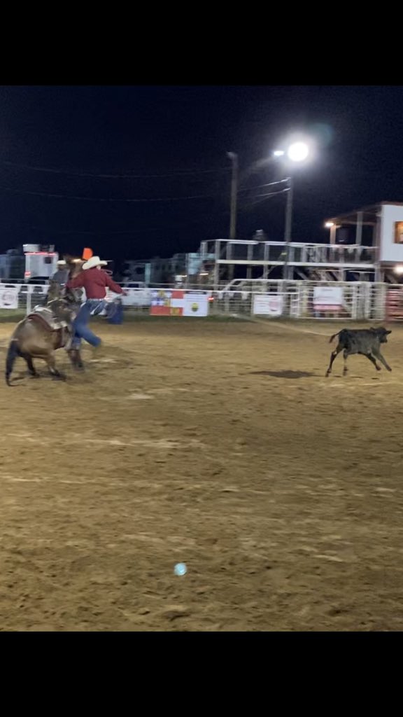 calfroper23's tweet photo. So blessed to have this mare in the pasture she sure has made it fun to rope again can’t beat being able to compete on one you made yourself. My little #diamondintherough is starting to shine bright. https://t.co/qdLnNyyTsJ