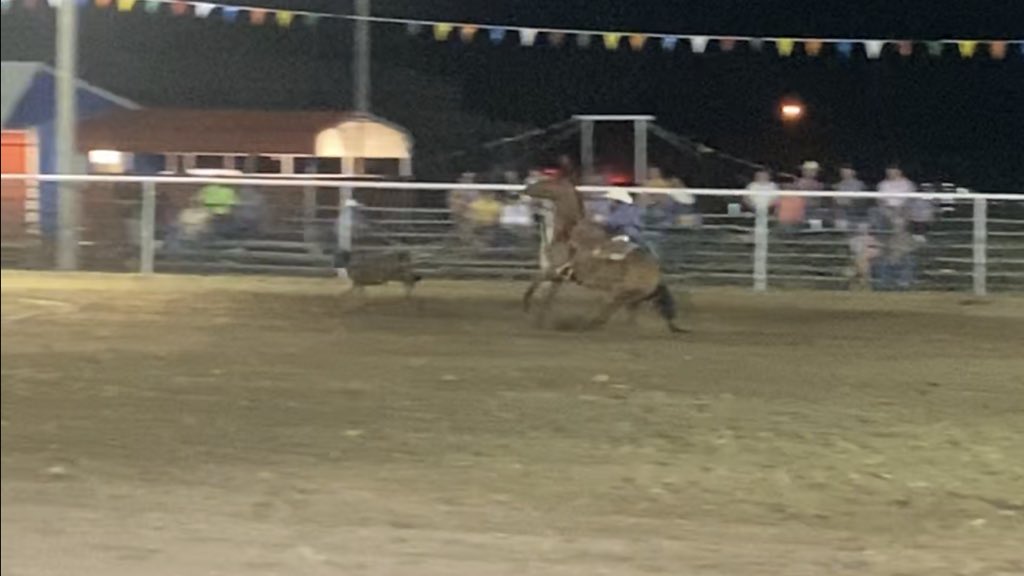 calfroper23's tweet photo. So blessed to have this mare in the pasture she sure has made it fun to rope again can’t beat being able to compete on one you made yourself. My little #diamondintherough is starting to shine bright. https://t.co/qdLnNyyTsJ