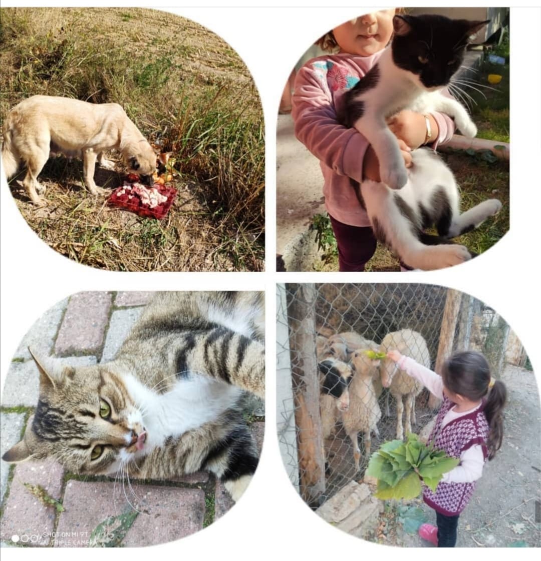 Nurcan EŞKİ hocamıza projemize sundukları katkılar için çok teşekkür ederiz :)