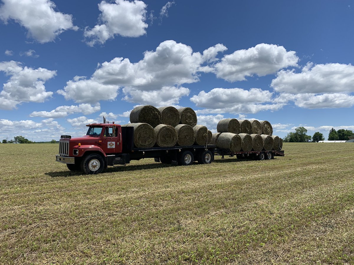 RedTractors86's tweet photo. @ihboy86 #sendinit #sexybaleage #DFI https://t.co/6zT2xZDpAO