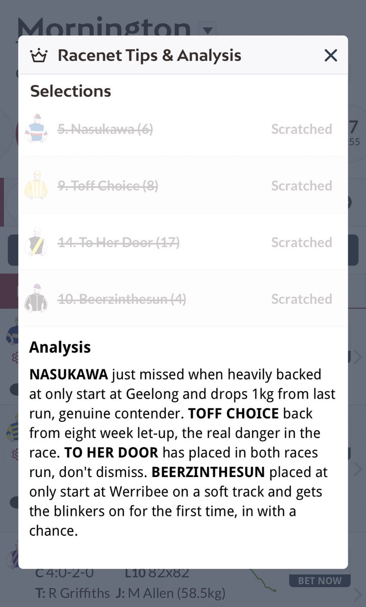 NewminsterTB's tweet photo. Good Luck to all involved in today's first starter Shamboozle. He heads to Mornington in good order for Maiden over 1200 on home turf. 5 come out. We are happy and keen to see how he shapes up on race day.  Judging by Racenet it must now be considered an open race? https://t.co/Xg30HkQFAn