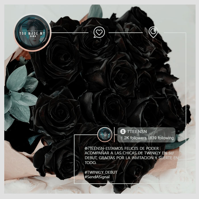 7TEENSN's tweet image. 〔💎〕; #TWINKLY_DEBUT #SendASignal  
↷ · @ . . . / sᥲყ thᥱ ᥒᥲmᥱ 7tᥱᥱᥒ¡!%;

Estamos presentes en el DEBUT de las hermosas TWINKLY. Gracias por la invitación y felicidades chicas! Les traemos un regalo. 

« 𝟕𝐓𝐄𝐄𝐍 𝐑𝐢𝐠𝐡𝐭 𝐇𝐞𝐫𝐞 »