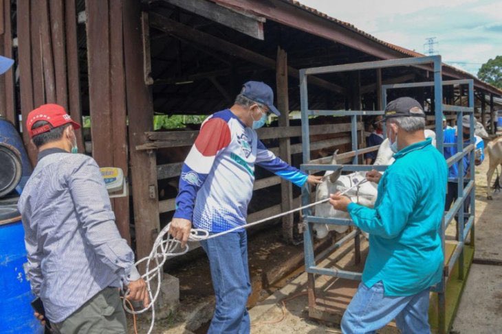 ReportSosial's tweet photo. #SapiAceh 

“Upaya pendistribusian sapi kepada masyarakat menjadi hal yang harus dilakukan karena jumlah sapi di UPTD IBI Saree sudah melebihi daya tampung,” ujar @niriansyah 

https://t.co/mQt0Jtp8m9 https://t.co/wFxPTEIvD0