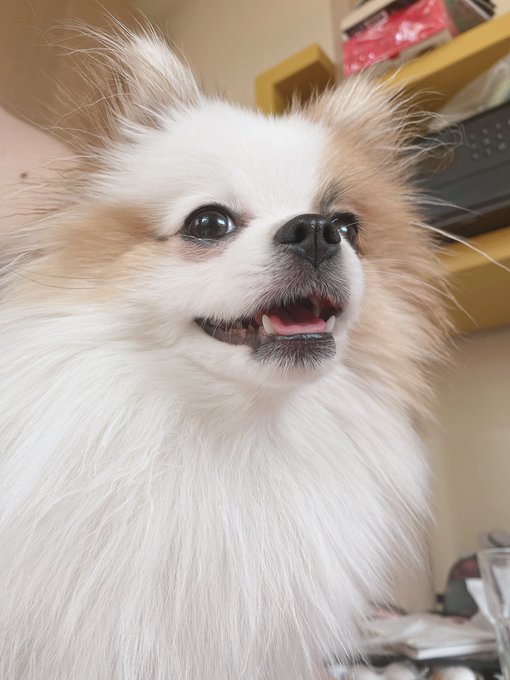 Watch ✨𝓐𝓷𝓪 𝓒𝓱𝓾𝓾 💫𝐹𝑅𝐸𝐸 𝐹𝒮𝐿𝒴 + 𝒪𝐹🔥's leaked NSFW photo on TwXstars