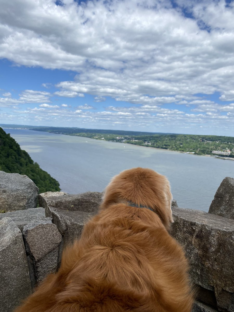 Thinks Wife tweet media