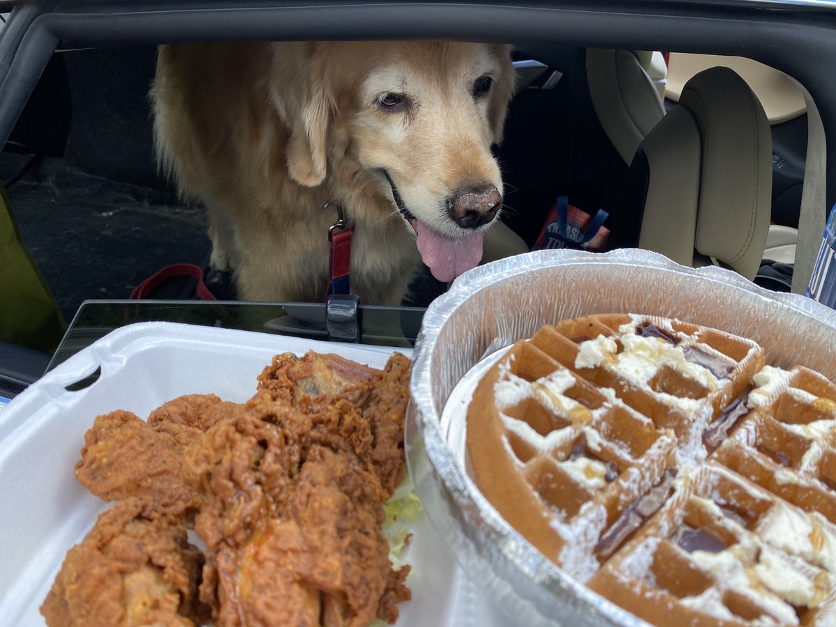 Thinks Wife tweet media