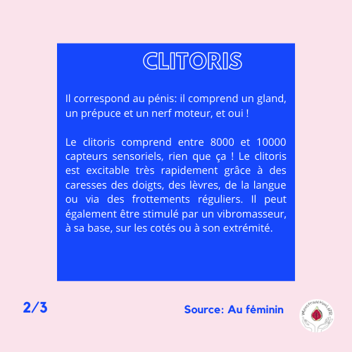 MenstruactionL's tweet photo. Situé à l'intérieur de la vulve, le clitoris est un organe érogène de l'appareil génital féminin.
Quel est son rôle ? Sa taille ? Pourquoi donne-t-il du plaisir quand il est caressé ? Plongez sans tabou dans les mystères du clitoris 😉
Illustration: tomathilde_  
#clitoris #tabou https://t.co/imKTWg3wIU
