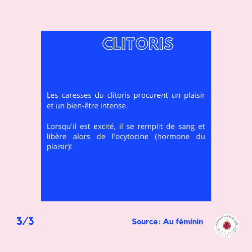 MenstruactionL's tweet photo. Situé à l'intérieur de la vulve, le clitoris est un organe érogène de l'appareil génital féminin.
Quel est son rôle ? Sa taille ? Pourquoi donne-t-il du plaisir quand il est caressé ? Plongez sans tabou dans les mystères du clitoris 😉
Illustration: tomathilde_  
#clitoris #tabou https://t.co/imKTWg3wIU