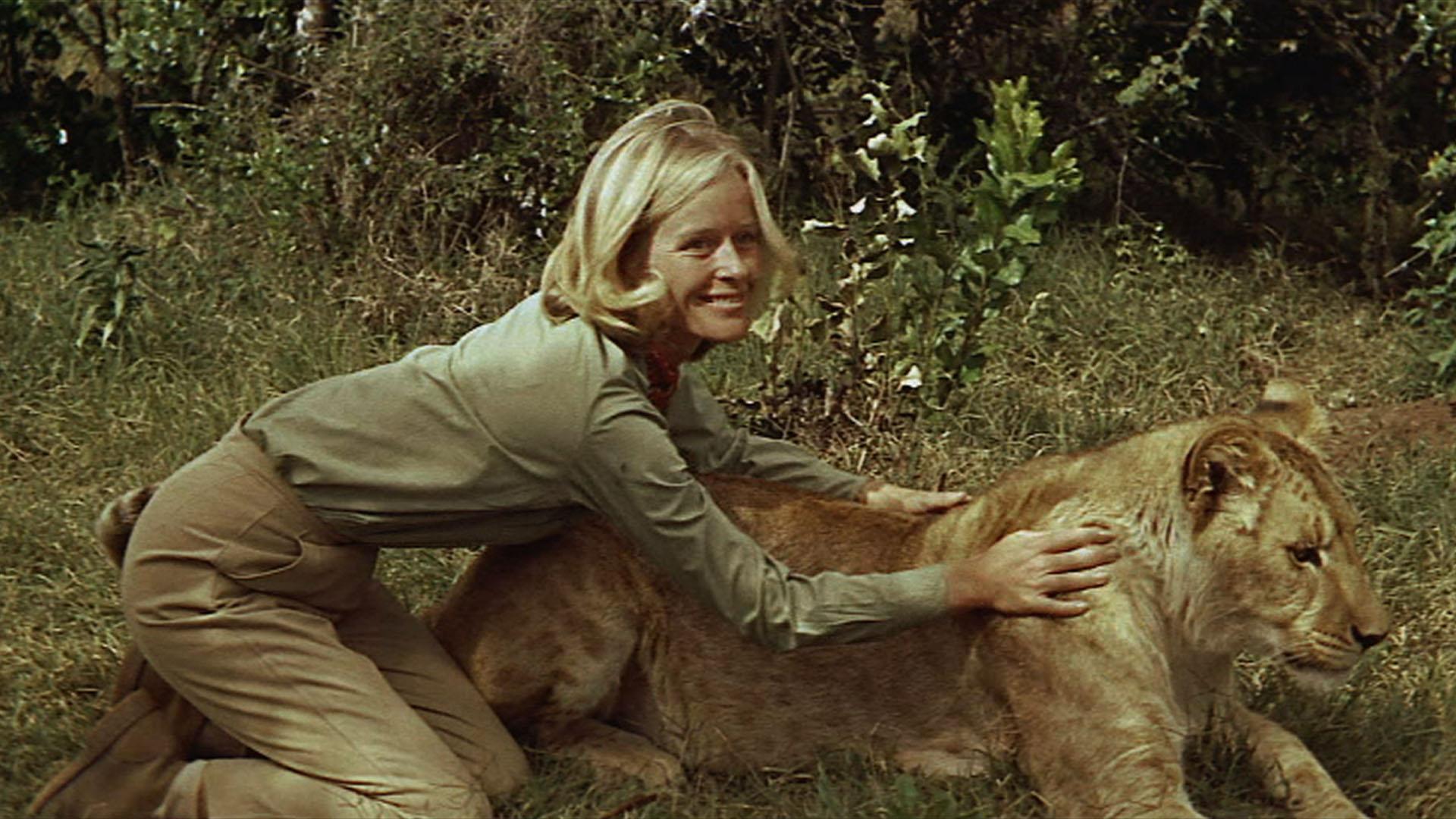 Happy 89th Birthday to Virginia McKenna, seen here in BORN FREE (1966).   