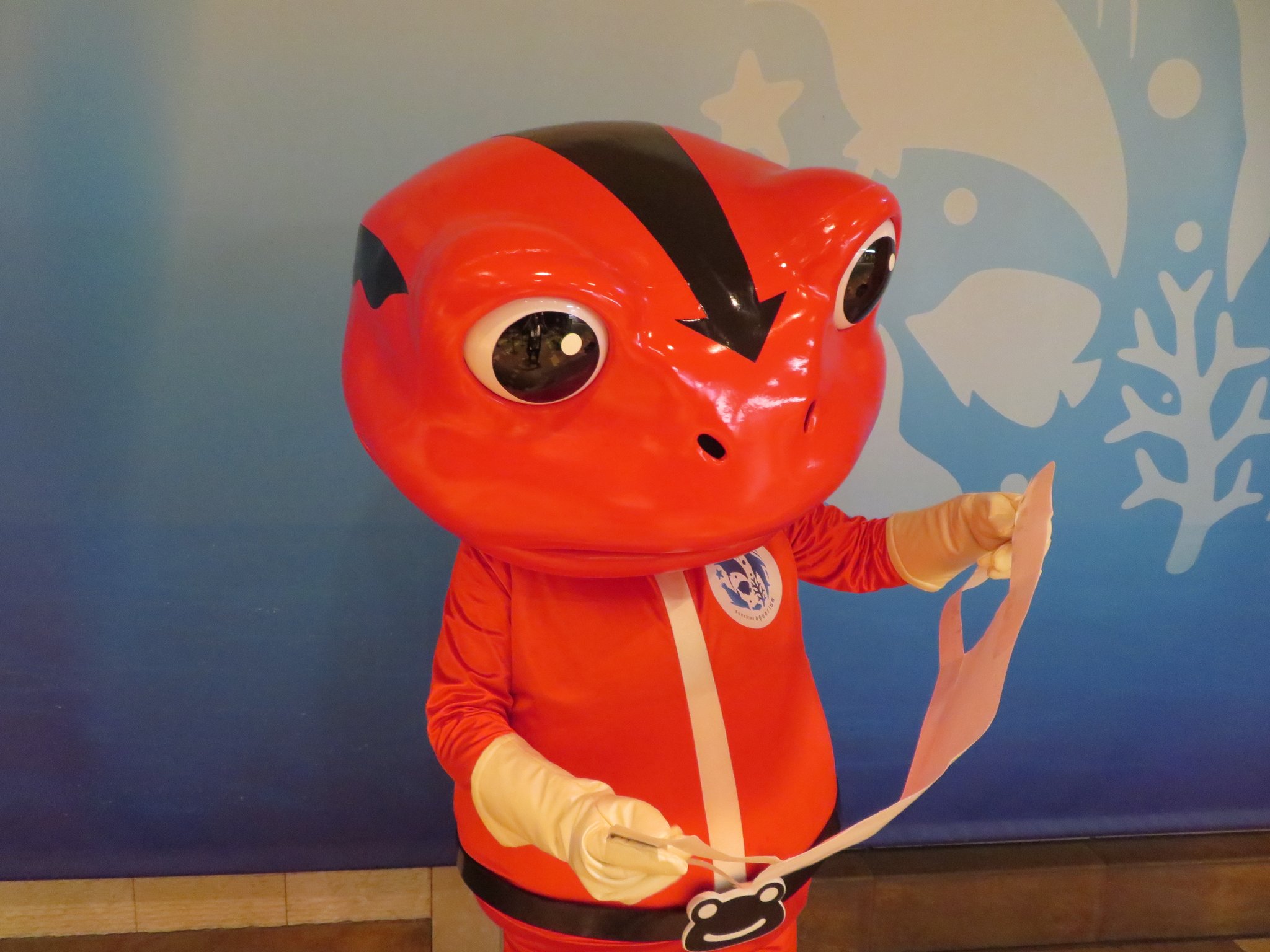 サンシャイン水族館 本日のケロ活動 ガサゴソガサゴソ よーし マスク をつけるケロ しっかりとケロレッド用の大きいサイズを用意しました 外出する際は 熱中症に気をつけつつ マスクをつけて感染予防しよう ケロウィーク サンシャイン水族館 本日のケロ活動 ガサゴソガサゴソ よーし マスク をつけるケロ しっかりとケロレッド用の大きいサイズを用意しました 外出する際は 熱中症に気をつけつつ マスクをつけて感染予防しよう ケロウィーク