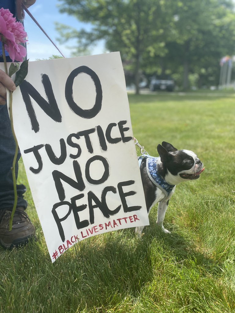 thread of very good dogs protesting for justice