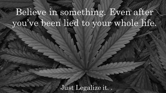 MimiTexasAngel's tweet image. #MayorJacobFrey #Minneapolis #CityCouncil will #DisbandPolice ~ #LiberateMinnesota ~ #BlackLivesMatter #JimCrow #Cannabis is food he calls #Marijuana to sell  #Petrol #Chemicals for #Profit ~ They put food in prohibition for #GREED #Democrats #Repbulicans need come to #Jesus