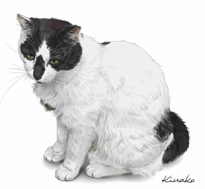 デッサン風のtwitterイラスト検索結果