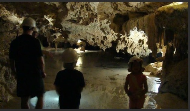 Dieser Ort ist ein idealer Park - wenn Sie auf der Suche nach natürlicher Schönheit und aufregenden Abenteuern sind.  aktun-chen.com/de/blog/los-pi…