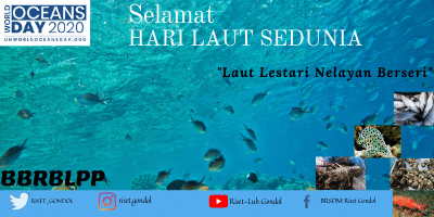 bpmkp_buleleng's tweet photo. Laut , sumber daya yang luar biasa bagi manusia, mari kita jaga kelestarian laut #LautLestariNelayanBerseri #OceansDay #HariLautSedunia 
@kkpgoid 
@brsdm_kp 
@Edhy_Prabowo  
@sjariefwidjaja
@Bambang75697388 https://t.co/AUCJiAd8f9