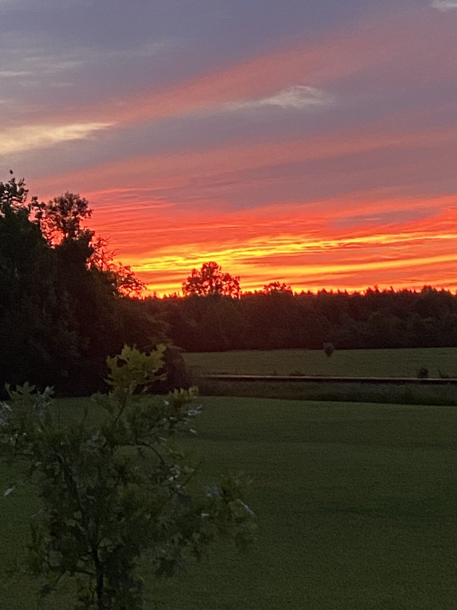 bellanewman's tweet photo. That sunset before the storm! #GodsCreation #LamarCounty 
@spann @weswyattweather @WCBIWEATHER https://t.co/oxSdtWcvfn