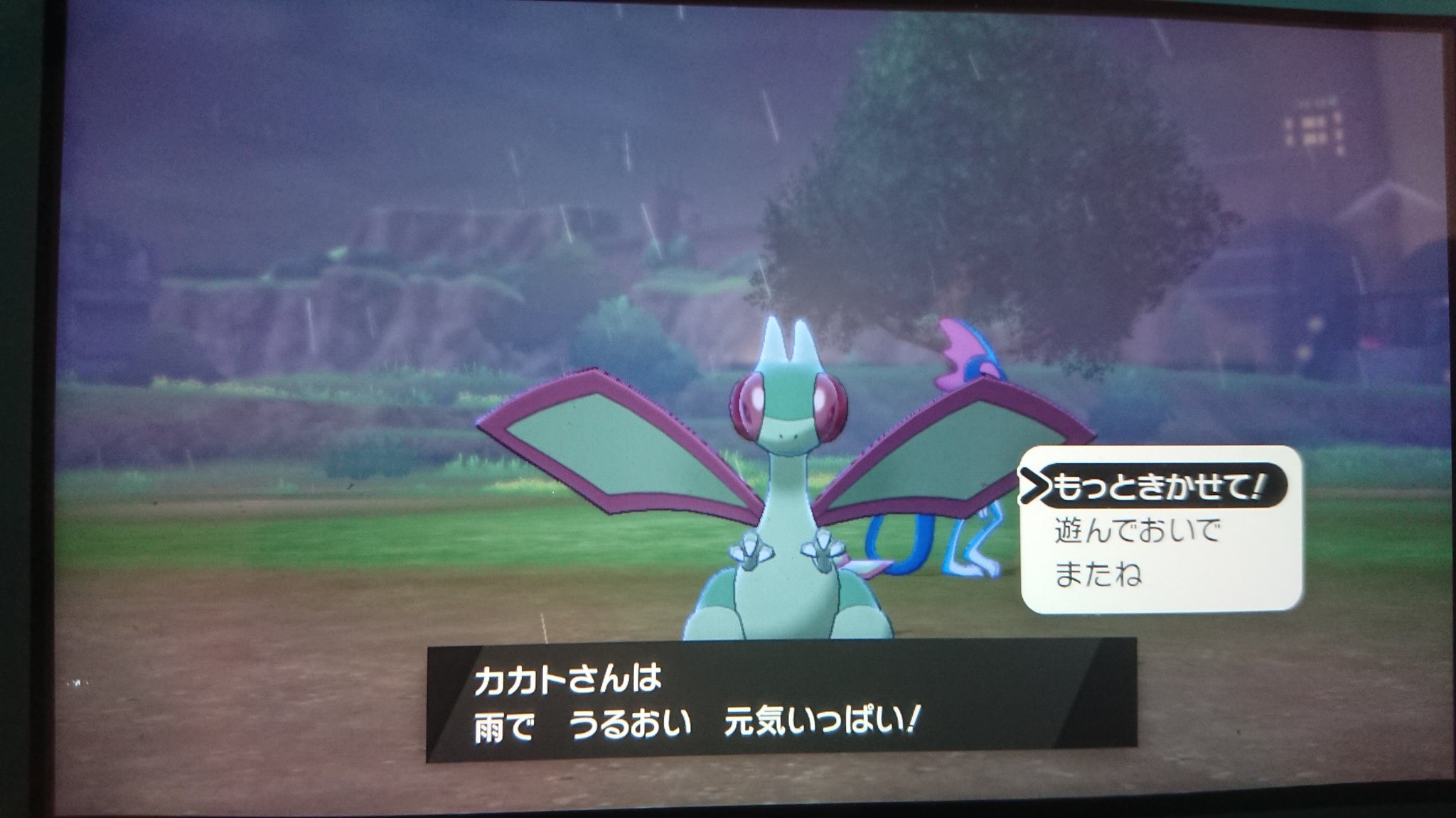 人間に化けるマジコスゾロアークbot カカトさん 特性 うるおいボディ ポケモン剣盾 フライゴン ポケモンキャンプ T Co Rwrqtlbald Twitter