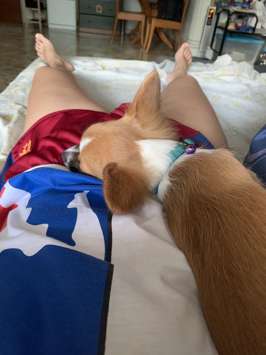 euniceannabelle's tweet photo. My baby woke me, just to sleep on me. He woke me by tapping my arm. My heart!! https://t.co/XcrWszXYpN