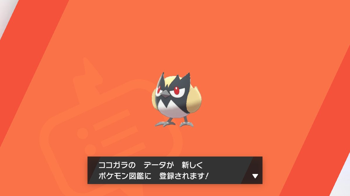 kattsun_26's tweet photo. ついに来た！！！！！！！！！！！！！！！！
計5日　2300以上匹討伐
ココガラ色違い

 #ポケモン剣盾 #NintendoSwitch https://t.co/fdSgkjXZtN
