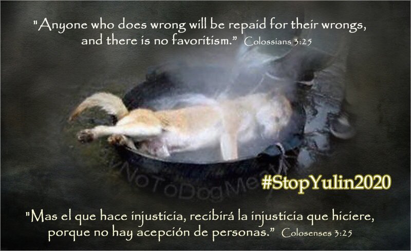 girasol2201's tweet photo. @Mittens57 @thofafor @Change #FightForTheInnocent
#CompassionOverCruelty
#Quotes
#Frases
#StopAnimalAbuse
#Compasión
#Compassion
#Motivación
#Motivation
#EndLessLove
#EndSuffering #StopYulin https://t.co/Fehm8qVeE2