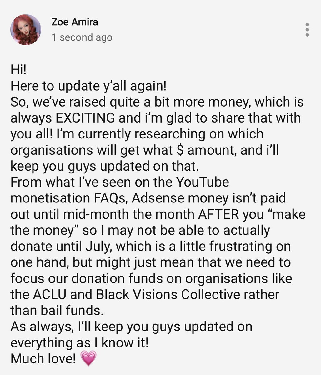 zoeamira's tweet image. UPDATE 4! “ how to donate to BLM with NO MONEY”