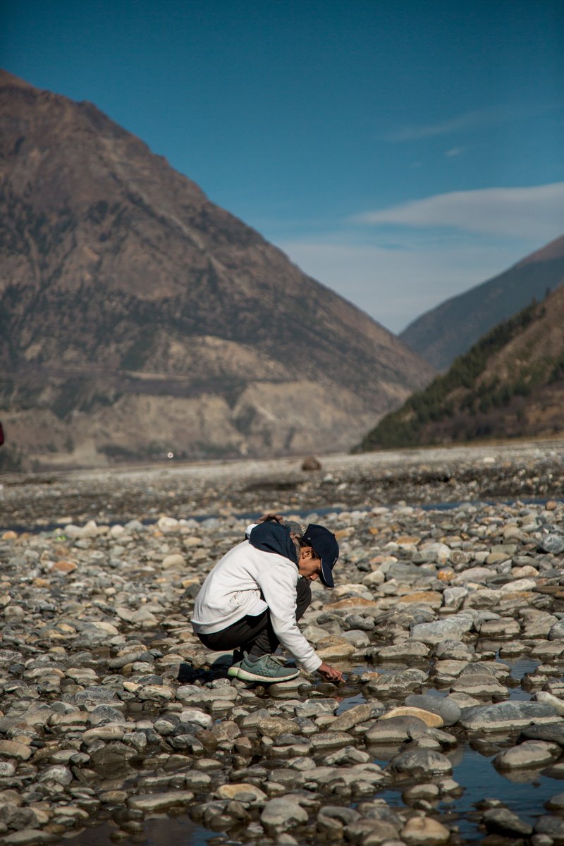 Malpi International School tweet media