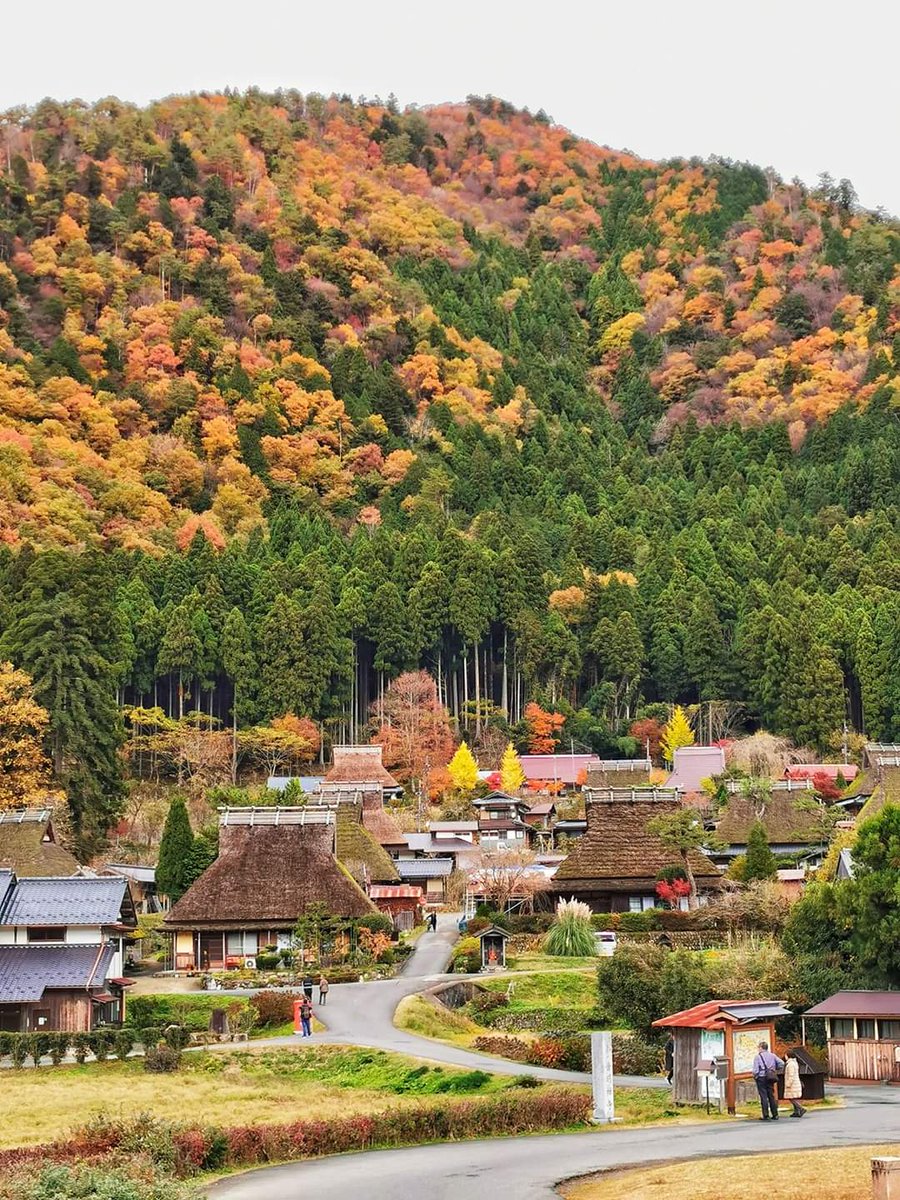 go_graph's tweet image. ใครคิดถึง ญี่ปุ่นบ้างงงงง
พวกเราคิดถึงมาก 55555

Miyama Kayabuki no sato หมู่บ้านโบราณในป่าตอนเหนือของเกียวโต ช่วงฤดูใบไม้เปลี่ยนสี สวยมากๆ แอดไปมาช่วงปลาย พย. กำลังสวยเลย

#Miyama #Kyoto #Kansai #GoGraphJapan #Gograph #Japan #เที่ยวญี่ปุ่น