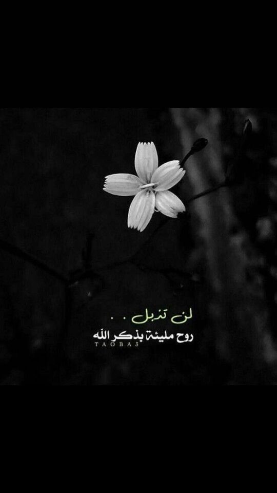 amksa11's tweet photo. اللَّهمَّ إنِّي أسألُكَ عِلمًا نافعًا ورزقًا طيِّبًا وعملًا
متقبَّلاً https://t.co/cr0WAejfVA