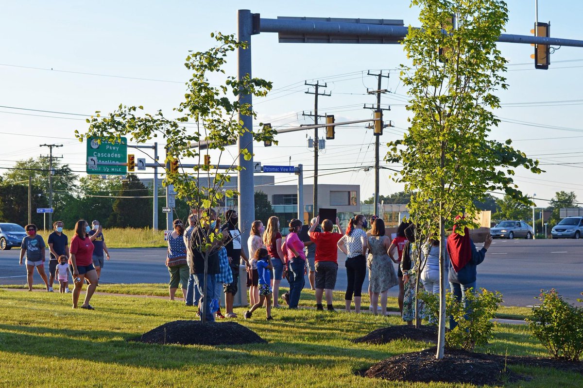 Amy Mirra tweet media