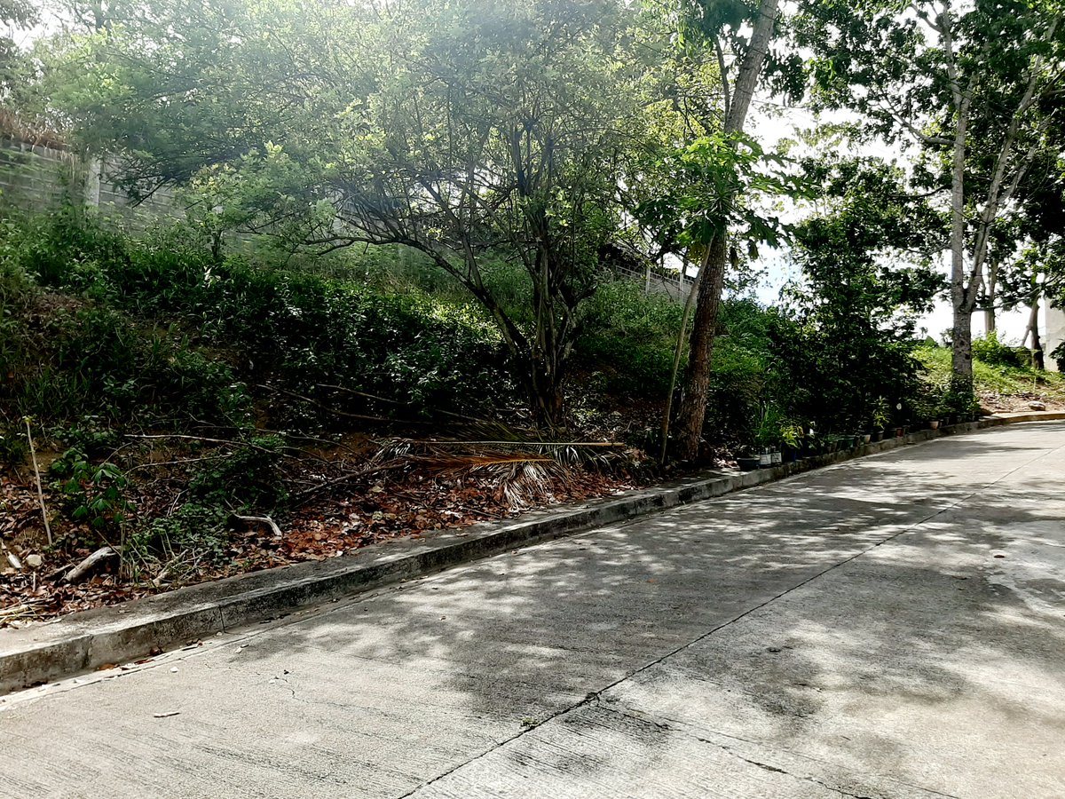 macrealtyservic's tweet photo. Lot for Sale in Metropolis, Talamban, Cebu City

Phase 2
-10-minute drive to Ateneo de Cebu
-24-hour security
-gated subdivision
-peaceful and quiet neighborhood
Price: 14,000/sqm net of taxes
2 adjacent lots
- total area: 240 sqm

contact:

pscebu8@gmail.com
09209229894 https://t.co/SJct1p3Qjb