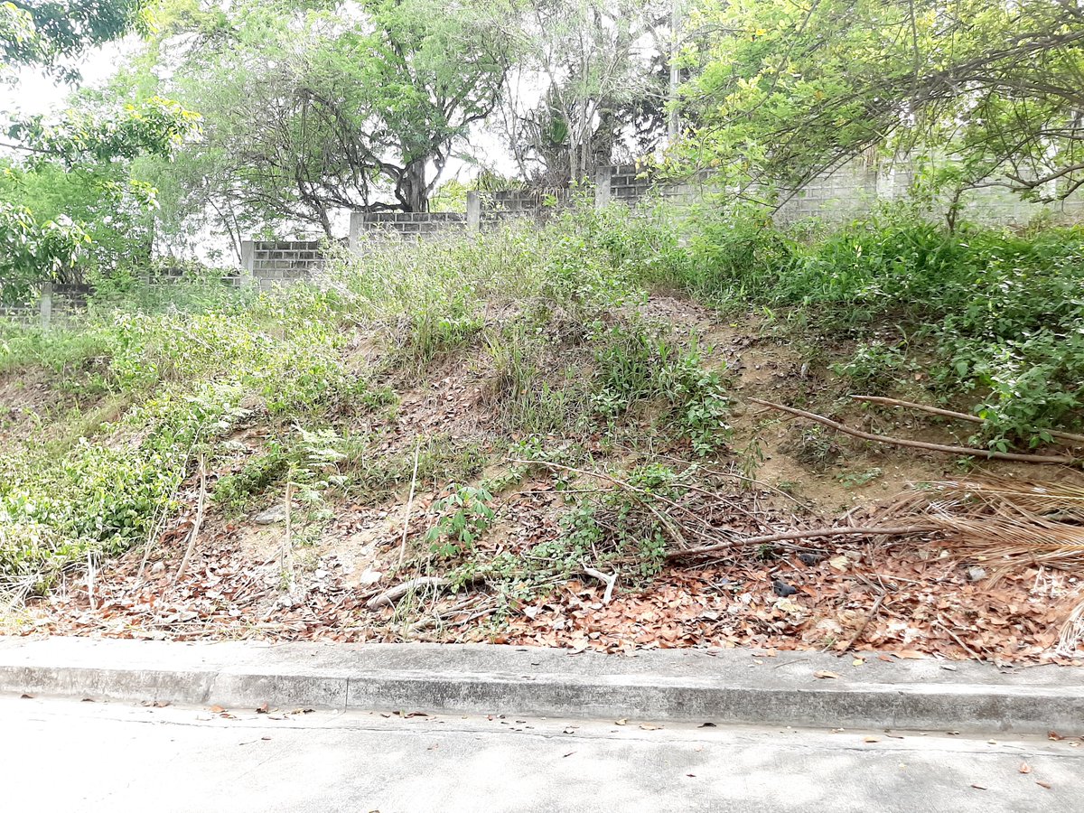macrealtyservic's tweet photo. Lot for Sale in Metropolis, Talamban, Cebu City

Phase 2
-10-minute drive to Ateneo de Cebu
-24-hour security
-gated subdivision
-peaceful and quiet neighborhood
Price: 14,000/sqm net of taxes
2 adjacent lots
- total area: 240 sqm

contact:

pscebu8@gmail.com
09209229894 https://t.co/SJct1p3Qjb