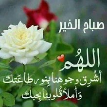 صباح الخير صباح العافيه ع كول متابعيني
