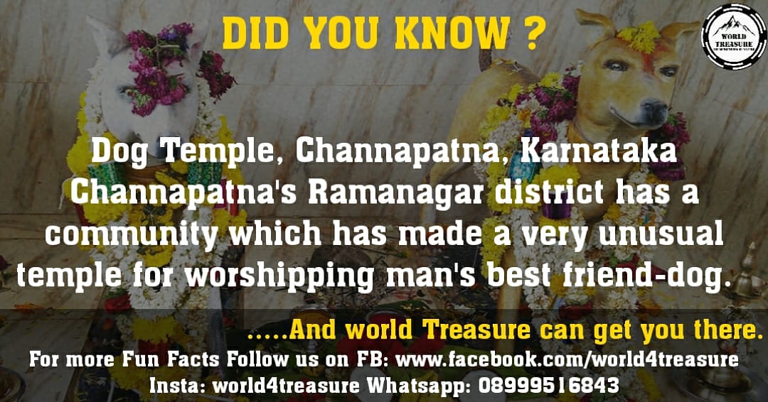 world4treasure's tweet photo. DID YOU KNOW ?
Follow us on
Insta:world4treasure
Whatsapp:08999516843
#facts #facts💯 #factz #doglover #travel #gujarat #traveling #traveltheworld #ahmedabad #doglovers #travelblogger #bike #gujarati #dog #india #covid19 #tourism #ancient #ancienthistory #dogtemple #karnataka https://t.co/ZnxzdWiciG