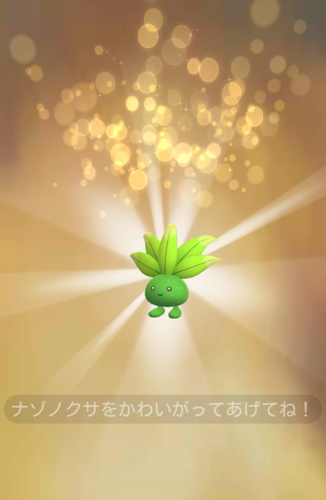 まだか 交換タスクで詰んでるとのことでせっかくキラフレンドだったし色ちがい同士交換しました 送ったのはタツベイなんだけど どっちもステータスぐんと上がって素晴らしき ᵕ 進化するか悩むナゾノクサすきだから でもクサイハナもラフレシアも