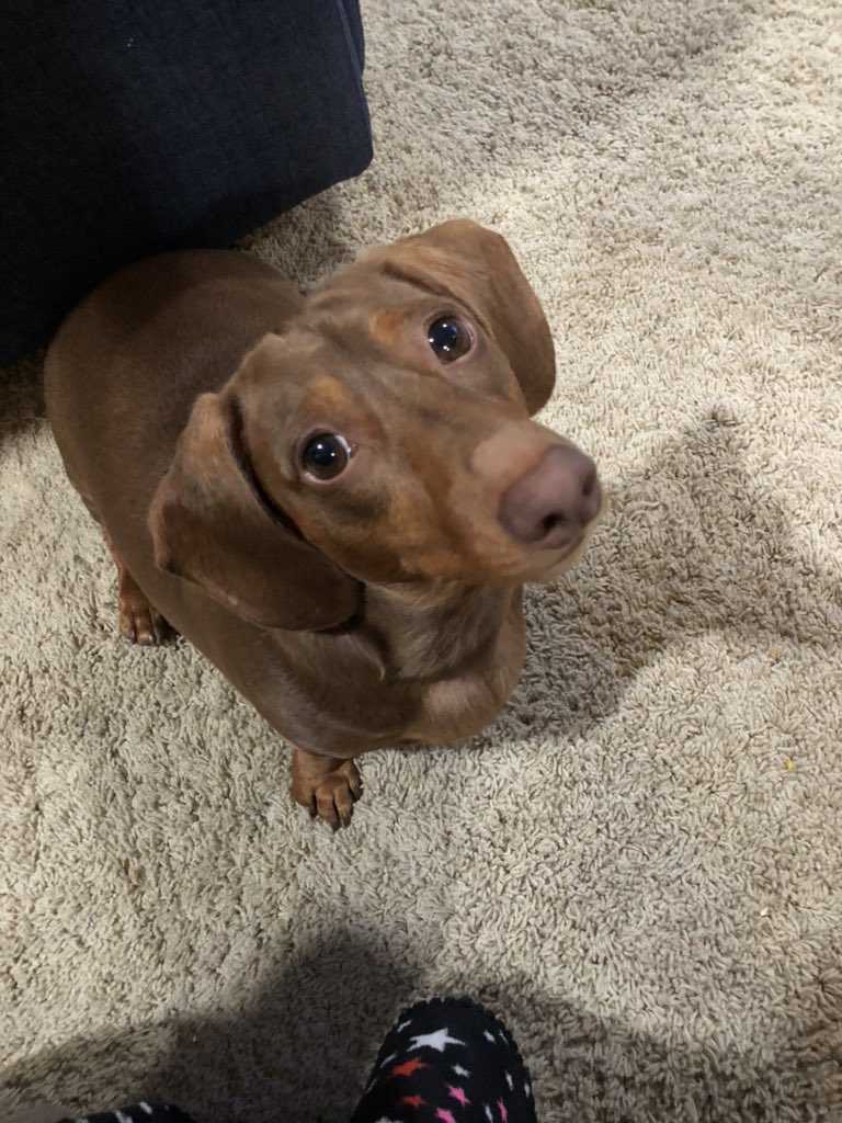 Wade Barnes tweet media