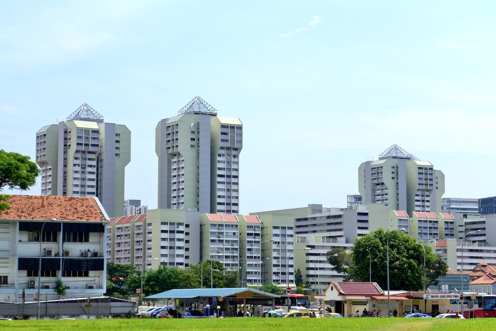 koyajix73's tweet image. ノープランだったのでとりま近所の散歩から😅
#2ya
.