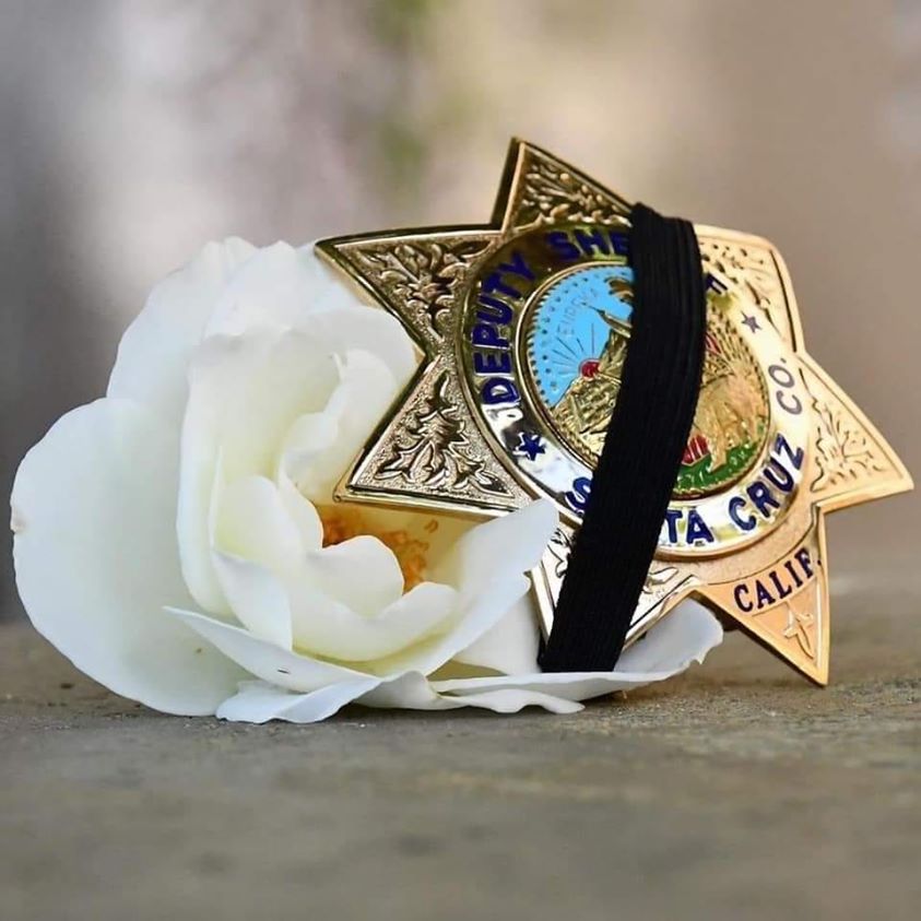 Brisbane Police Department tweet media