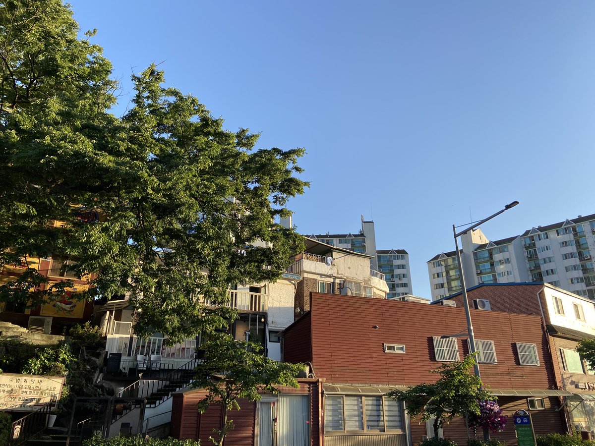 햇빛이 참 좋았던 날 ✨