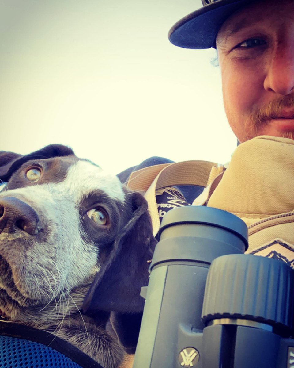 RankRider99's tweet photo. Little dude likes being on the mountain as much as I do #hank https://t.co/mXB4bYN0XD