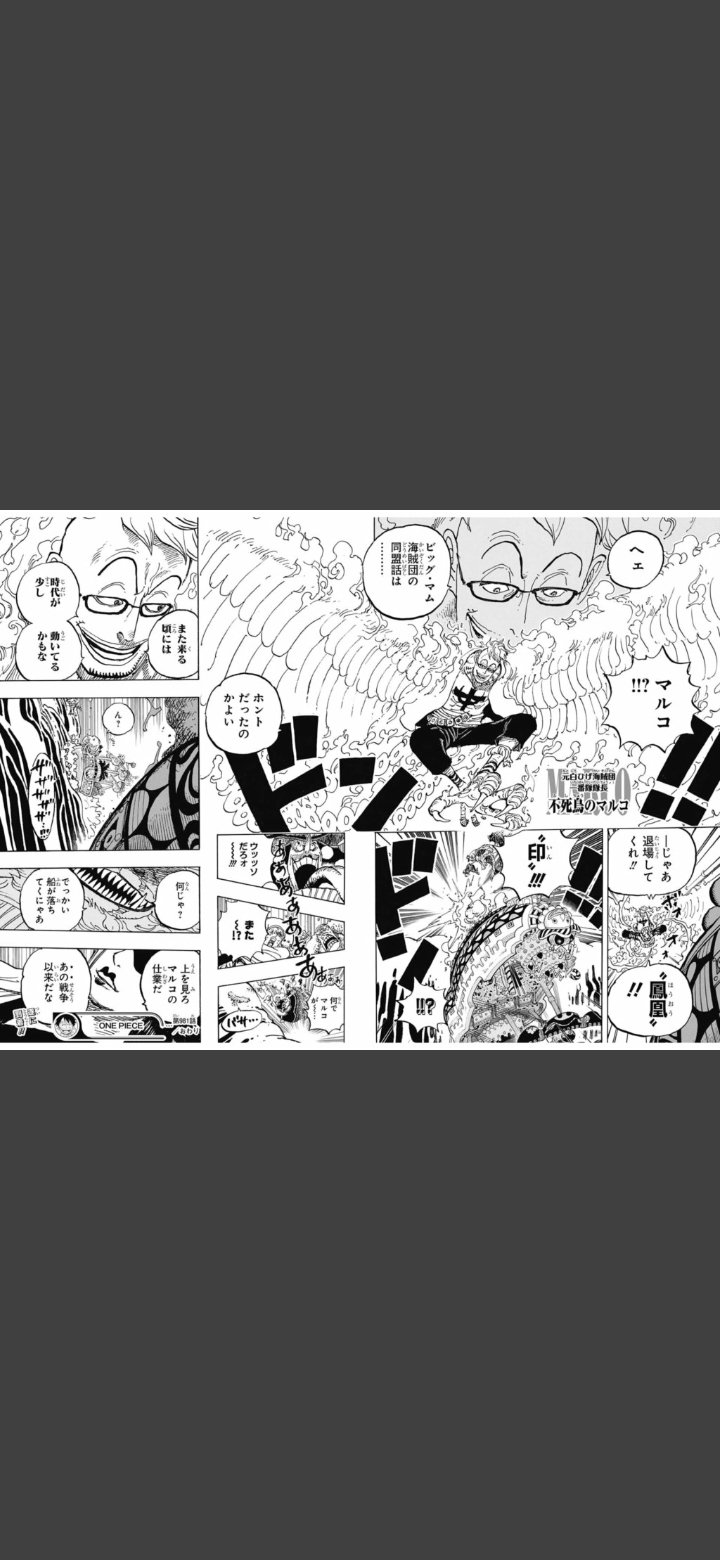ワンピースのマルコが仲間入り 麦わらの一味に入る可能性を考察 テレビっ子は今日もゆく
