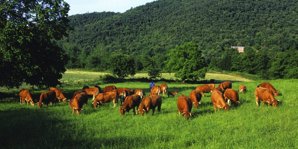 Des d'<a href="/Eng_Agronoms/">Enginyers Agrònoms de Catalunya</a> sol·licitem la reconsideració i modificació de la Proposta de Llei de creació de l'Agència de la Natura per adequar la representativitat dels òrgans gestors del territori, definir-ne l’abast, i promoure la gestió sostenible. ➡️Manifest: bit.ly/2zreHrT