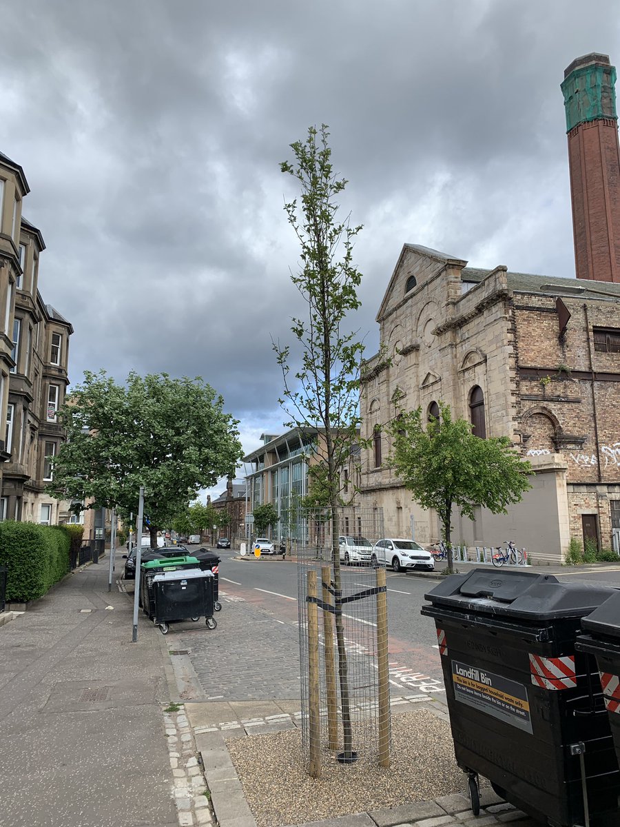 The trees in Mcdonald Road need your URGENT help.Via  @andyheald (who knows about this stuff) they need constantly watered. You cannot over water them as the hole goes down to their roots. 20-30 litres a day needed.Please water them if you live nearby! Cont/