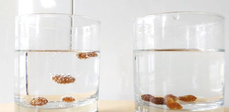 CERN's tweet photo. 🥃🥃 What do dancing raisins and particle detectors have in common?
Find out more on the CERN #SCoolLAB website: https://t.co/WNFQY0ccye https://t.co/hKKz7WaDFC