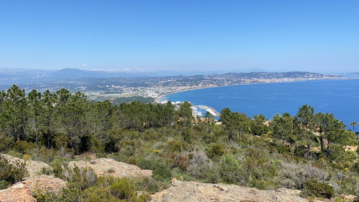 #LoveCannes #Love #Life lovecannes.eu