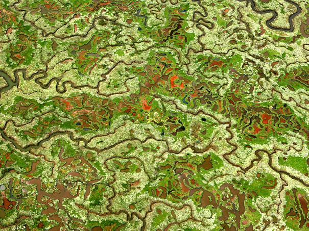 vstnorthnorfolk's tweet image. Today during #EnglishTourismWeek2020 our spotlight is on the village of Stiffkey, with its nature-rich saltmarsh. So #VirtuallyVisitNorthNorfolk until we can welcome you in person when it's safe to visit again  #EnglishTourismWeek20 @VisitEnglandBiz bit.ly/3c9jafQ