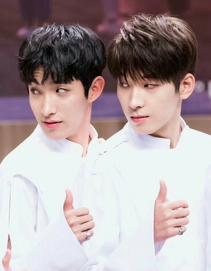 WONWOO and DK being THE TWINS— a very confusing thread @pledis_17  #WONWOO  #DK