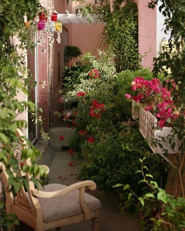greeningdesert2's tweet photo. Living in a house with a garden, like living in a perfume bottle.. 🌸🌿

العيش في منزل فيه حديقة، كأن تعيش في زجاجة عطر.. 🌸🌿

#Greening_the_desert 🏜️➡️ 🏞️ 
#permaculture #perfume #Geoff_lawton https://t.co/bkfkV0kRQ1