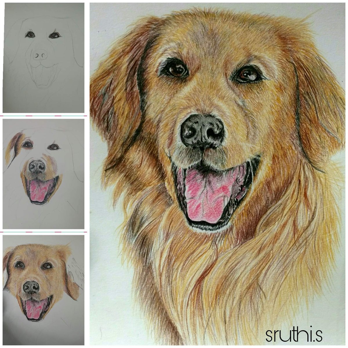 sruthisiva3's tweet photo. Colour pencil art
#goldenretrievers #dogsoftwitter #dogs #Pencildrawing #colorpencilonpaper #dogs #coloured https://t.co/LLqWCMsFI9