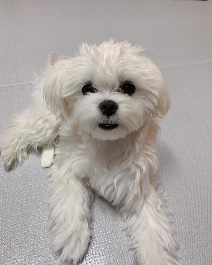 thread of  @RVsmtown’s park haetnim but she gets older as you scroll
